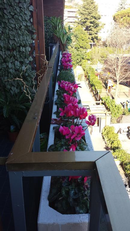 Fiore Vaticano B&B 罗马 外观 照片
